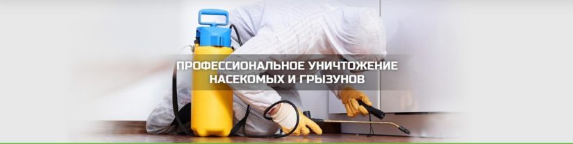 Санэпидемстанция области Санэпидемстанция области